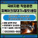 필릿