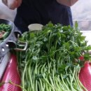 수봉농원 이미지