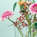 오토마스타 이미지