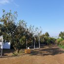 송정농원 이미지