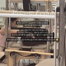 브엘라핏 이미지