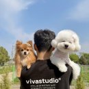 단소금