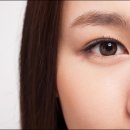 드림성인PC 이미지