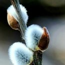 도구머리 이미지