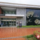 한국 민화뮤지엄 | 강진 가볼만한 곳 한국민화뮤지엄 해설사와 함께하는 실내여행지