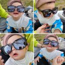단디스크린골프