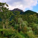 수암저수지 이미지