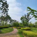 사우다지 운정 이미지