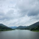 금봉식당 | 의성 금봉자연휴양림 영천 출렁다리 / 청도 와인터널 / 경북 가볼만한 곳