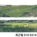 백운면 2062 이미지