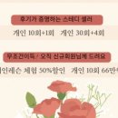 모던메디 이미지