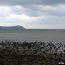 시흥초등학교 이미지