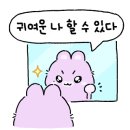 수호디자인 이미지