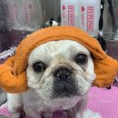 몽글 몽글 이미지