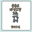 울릉도 마가보감 효능, 가격, 후기 자세히 알아보기!