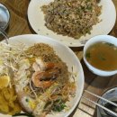 개아나유 이미지