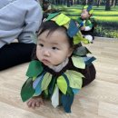 아이앤독 | 10개월아기 특징 발달(이유식양,몸무게 2월일기)