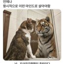 꿈꾸는달 The Party | Z 성장을 꿈꾸는 날들