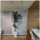 서초 전문 행정사사무소 이미지