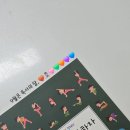 아인요가원