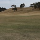 퍼시픽블루제주 이미지