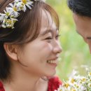 스튜디오모브