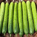 홍가네농장 이미지