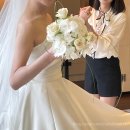 플레타플레르
