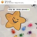 히얼유아 | [수원/행궁동] 3마리 100원 행운 거북이 구매 후기 | 히얼유아 소품샵
