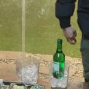 석금산로 | 양산 물금 베리바베큐｜애견동반 가능, 아이와 가기 좋은 캠핑 감성 바베큐장 후기