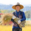 새올컴퓨터 네이버블로그