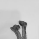 문정탑동물병원 이미지