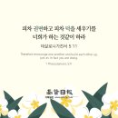 대학스포츠의 모든 것! (한국대학스포츠협의회) 이미지