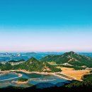 저동여객선터미널 옆 | 울릉도 가볼만한곳, 맛집 베스트 10곳 내돈내산