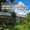 발안만세길 | 더포레 화성 근교 나들이하기 좋은 사진 맛집 &amp; 느좋 카페 내돈내산 후기