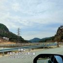 구림 금평교 티스토리