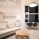 스테이컴앤씨