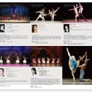 대구경북발레페스티벌 이미지