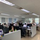 (주)도브투래빗