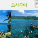 (주)신원 이미지