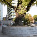 종로-종로-종로-종-263 이미지