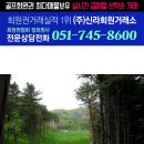 금강산개발(주) 이미지