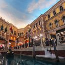 6865 | [6월 마카오 홍콩 여행] 아시아나 OZ6865(NX825), OZ746 이용후기