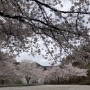 용담호사진문화관 | [용담호 사진문화관]⸝ 진안 가볼만한 곳⸝ 진안 용담호 공원⸝ 진안 용담호