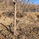 득성농장 이미지