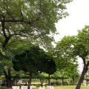 푸른빛작은도서관 이미지