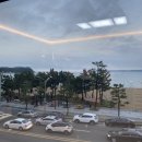 영일대 인생펜션 이미지