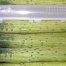 강릉농협농산물산지유통센터 이미지