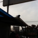 대찬렌탈 네이버블로그
