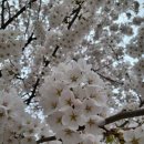 양평1동-4 이미지